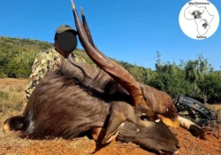 mel kleinhans safaris plains game gallery